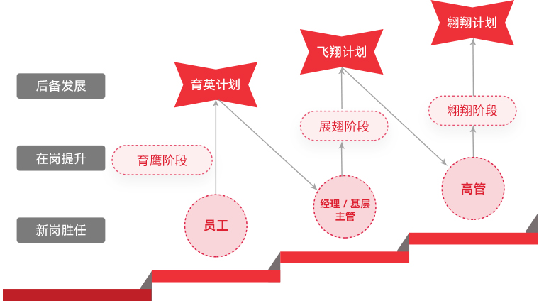 尊龙(中国)时凯 "雄鹰计划"人才梯队培养